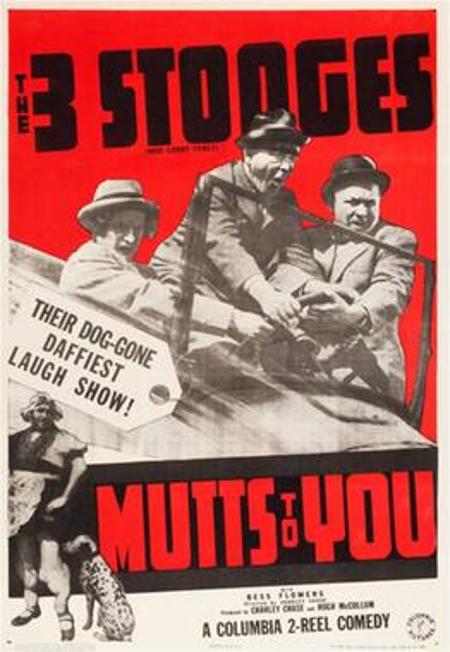 Mutts to You